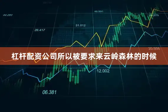 杠杆配资公司所以被要求来云岭森林的时候
