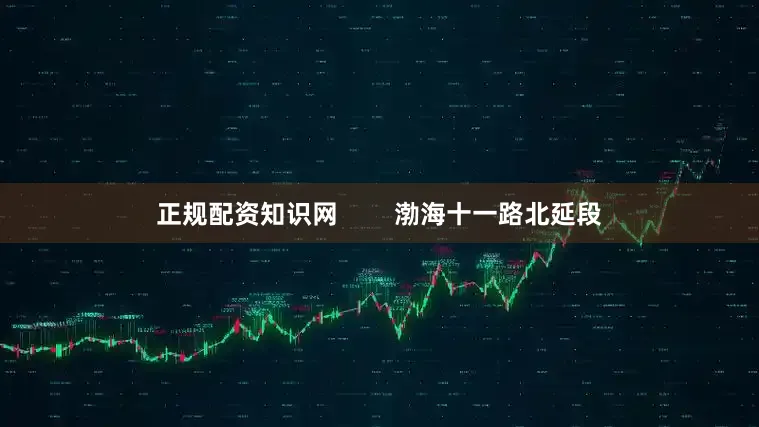 正规配资知识网        渤海十一路北延段