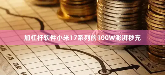 加杠杆软件小米17系列的100W澎湃秒充